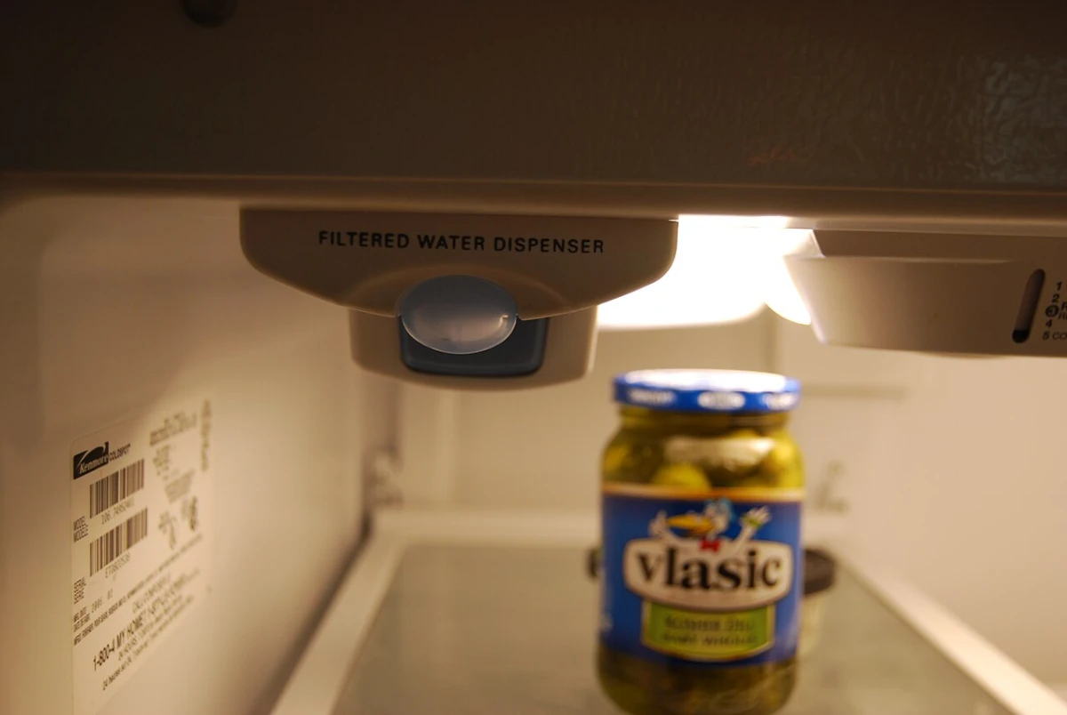 The inside top of a refrigerator, with a white housing labeled Filtered Water Dispenser and a round blue filter cap, above a jar of pickles on a glass shelf.
